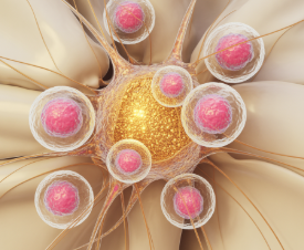 콘드로이친 효능