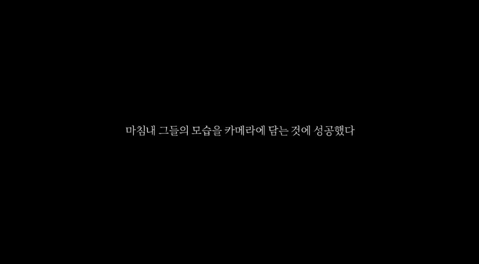 서울우유 젖소 광고 논란
