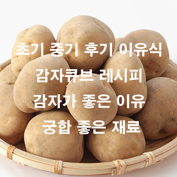 초기 중기 후기 이유식 감자큐브 레시피 감자가 좋은 이유 궁합 좋은 재료
