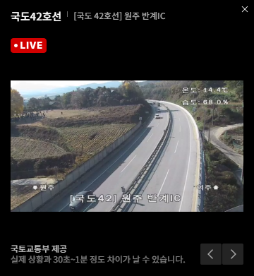 반계리 은행나무 CCTV