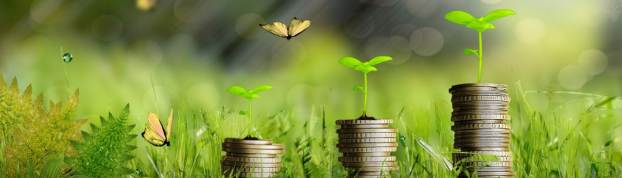 50대 부모, 자녀에게 자립심 심어주기