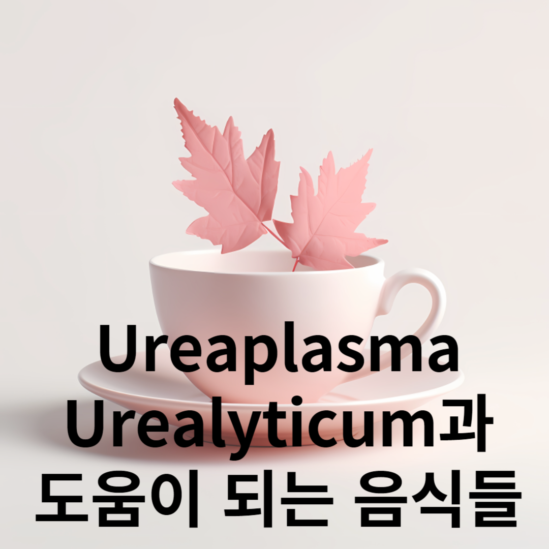 Ureaplasma Urealyticum과 도움이 되는 음식들