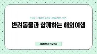 반려동물과 해외여행 기내 직항 펫 전용 준비와 절차_17