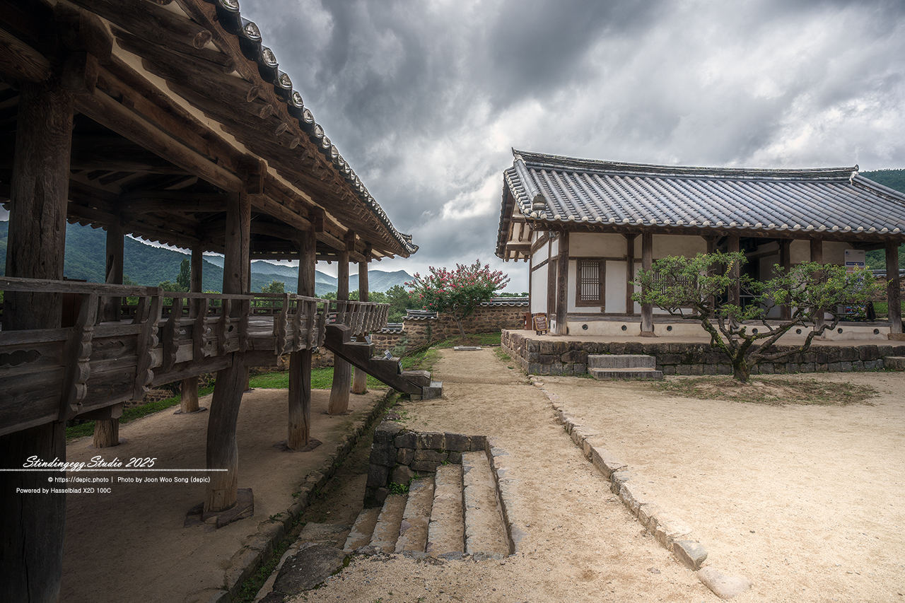 #안동 #서원 #유학 #병산서원 #배롱꽃