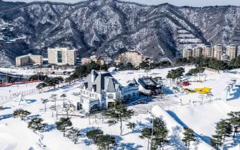 스노위랜드 비발디파크 눈썰매장