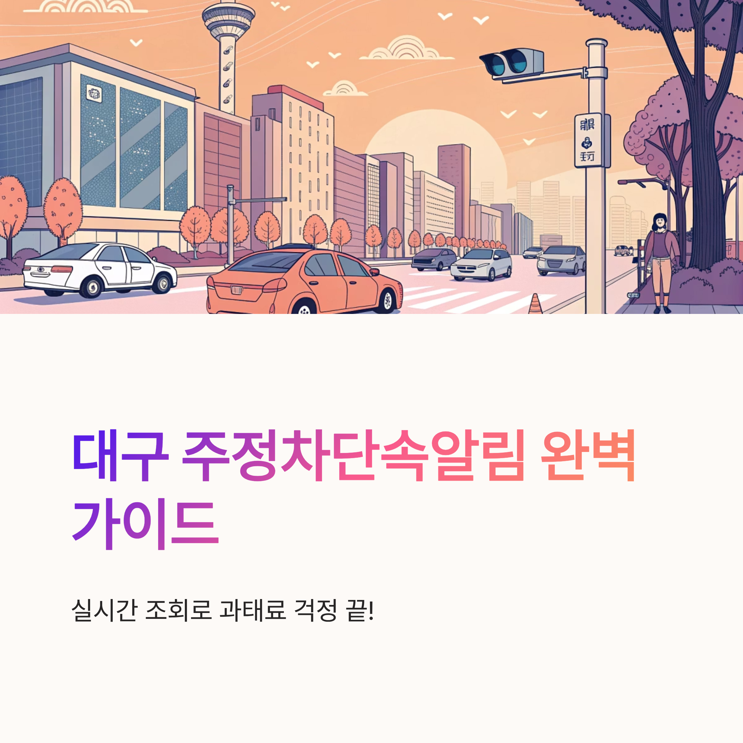 대구 주정차단속알림 실시간 조회와 활용법