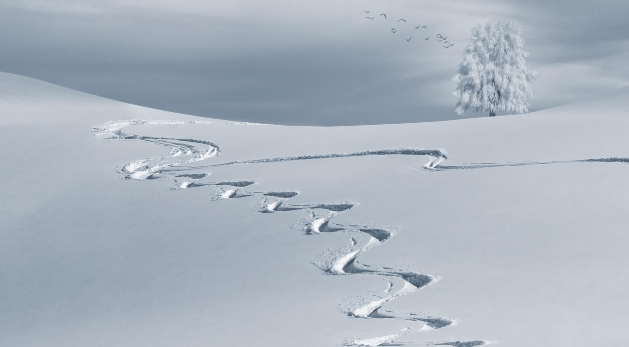 느림의 기술, 서두르지 않아도 삶은 충분하다