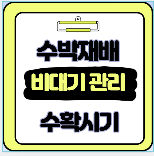 과실 비대기 관리와 수확 시기