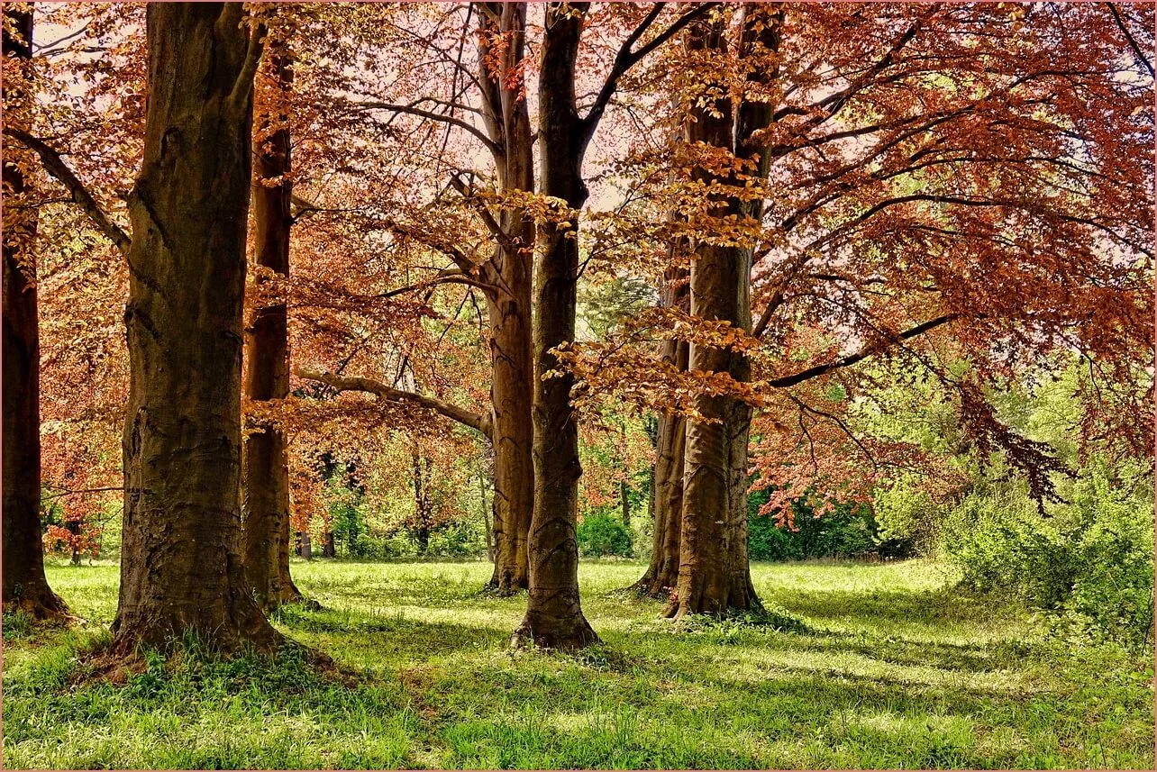 장생포 수국축제 주차장