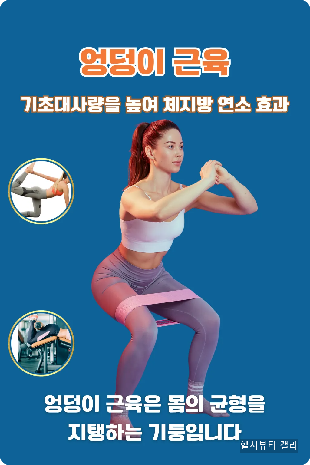 엉덩이 근육 강화 운동 인포그래픽 – 기초대사량 증가와 체지방 연소 효과