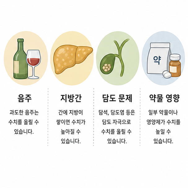 음주, 지방간, 담도 문제, 약물 영향으로 정리한 감마지티피 상승 원인