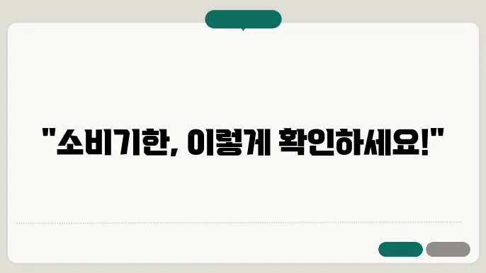 소비기한 표시제 시행 및 표시방법