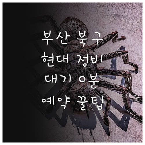 부산 북구 현대자동차 정비소 위치 연..