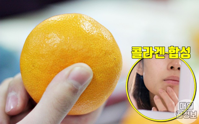 비만세균 잡는 프롤린유산균 많은 음식,귤