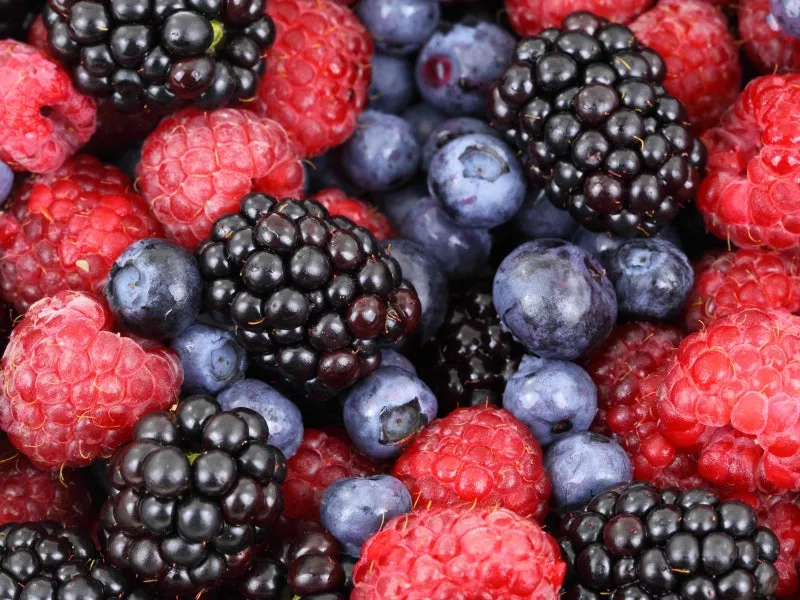 슈퍼푸드 라즈베리 산딸기 효능 섭취량 주의사항_1