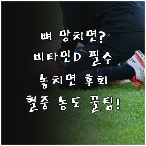 비타민D와 골다공증의 관계부터 혈중 ..