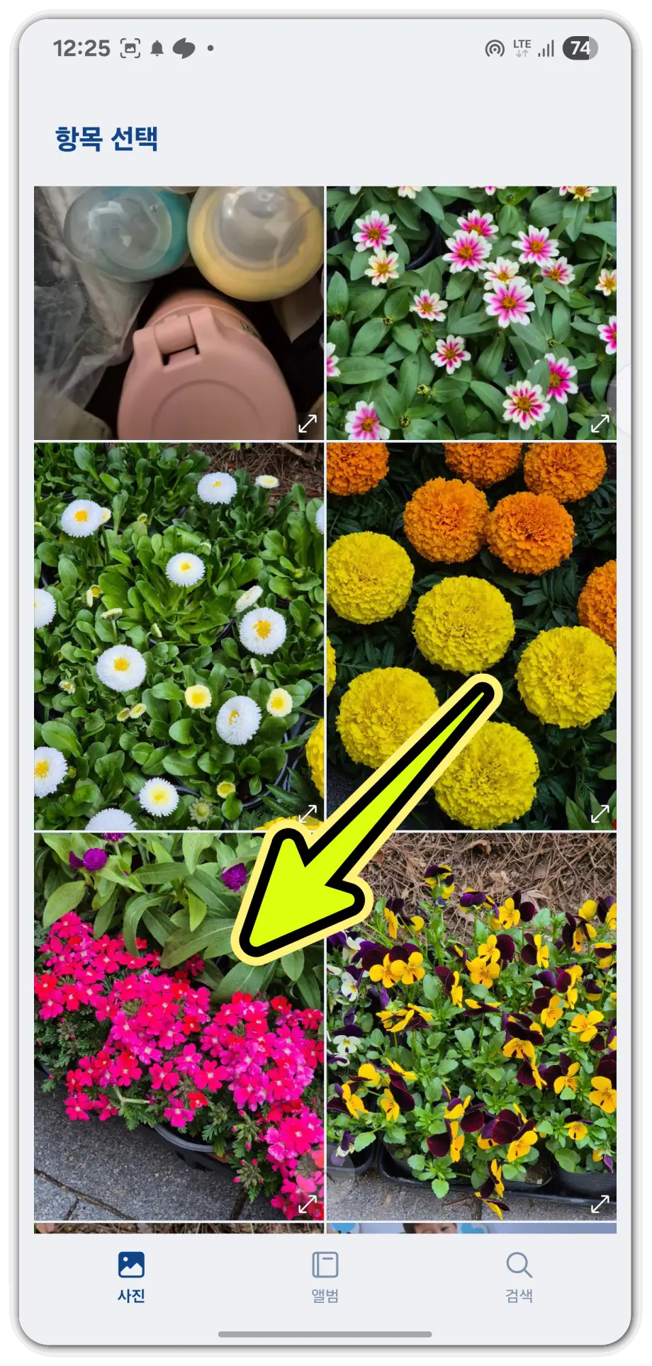 사진으로-꽃-이름-검색-방법