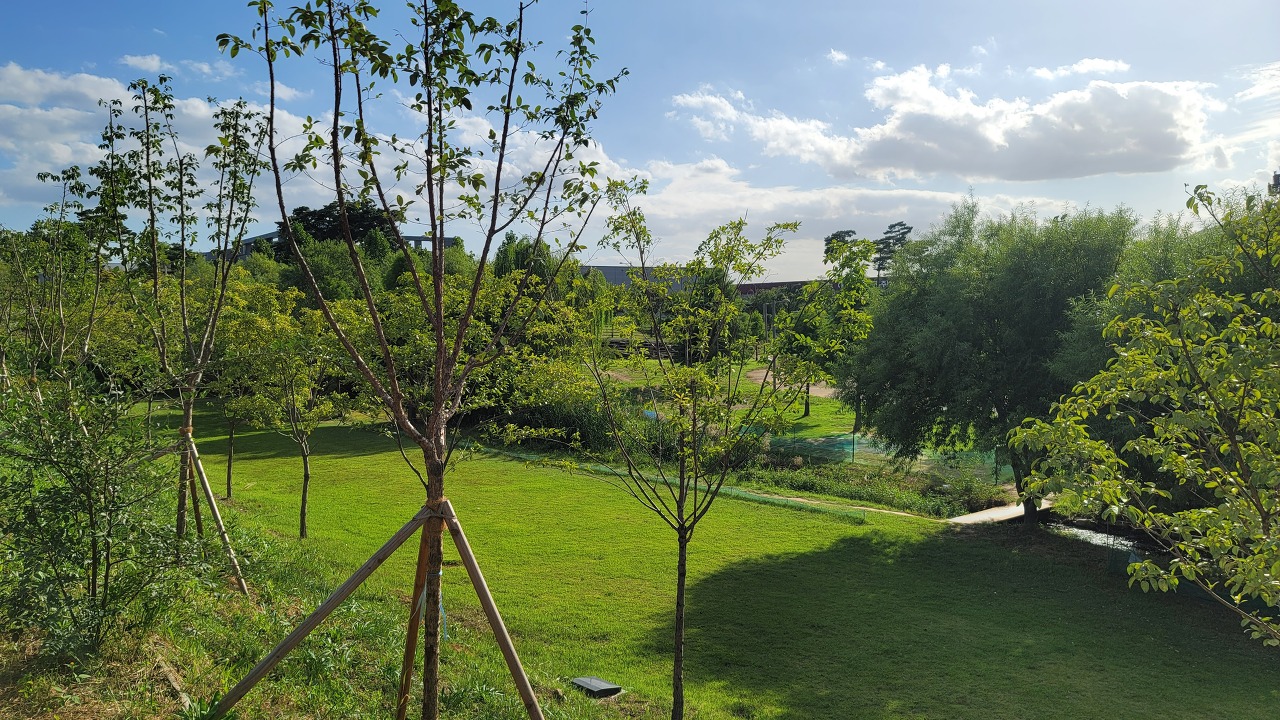 대구	달성군 과학관공원파크골프장 소개