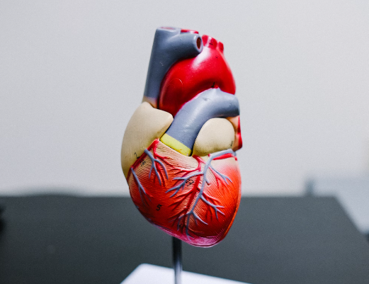 송화가루 효능 : 심혈관