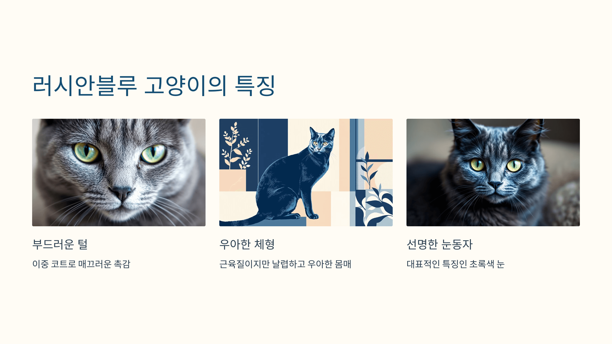 러시안블루 고양이 사진입니다.