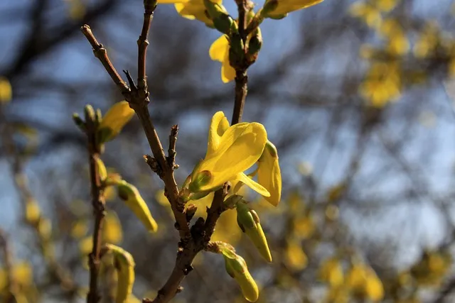 정호승 봄길 명시 10선_5