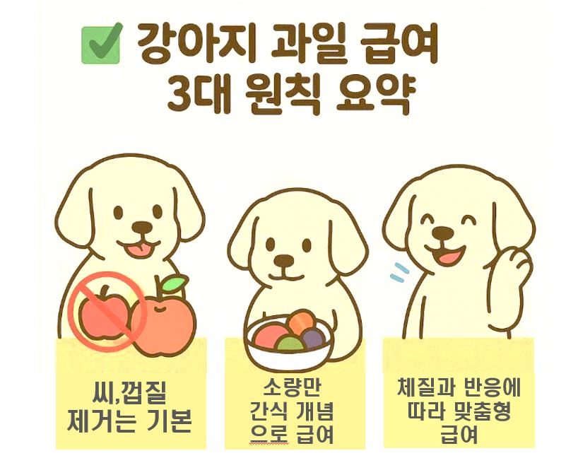 강아지 과일 급여 3대원칙 이미지