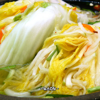 물김치 맛있게 담그는법