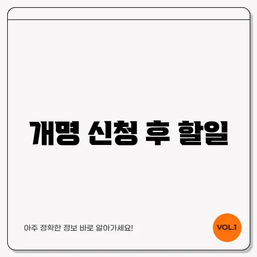 개명 신청 후 할일