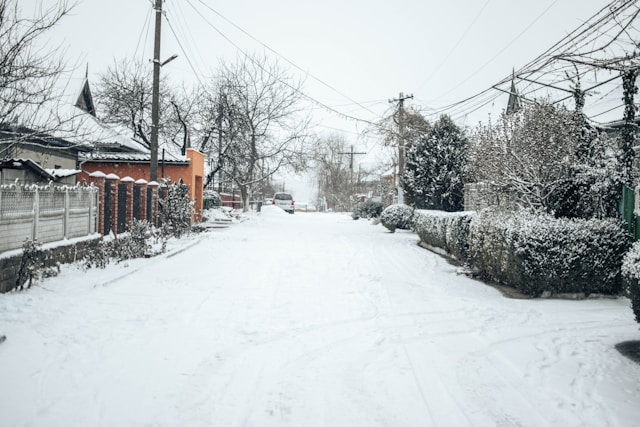 대설특보 버스 운행 중단 노선 실시간 조회 총정리