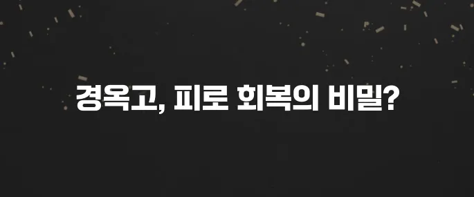 피로 회복? 경옥고 효능, 복용법, 진짜 효과는?