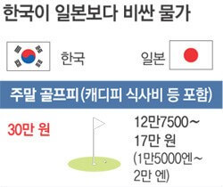 일본 그린피 저렴