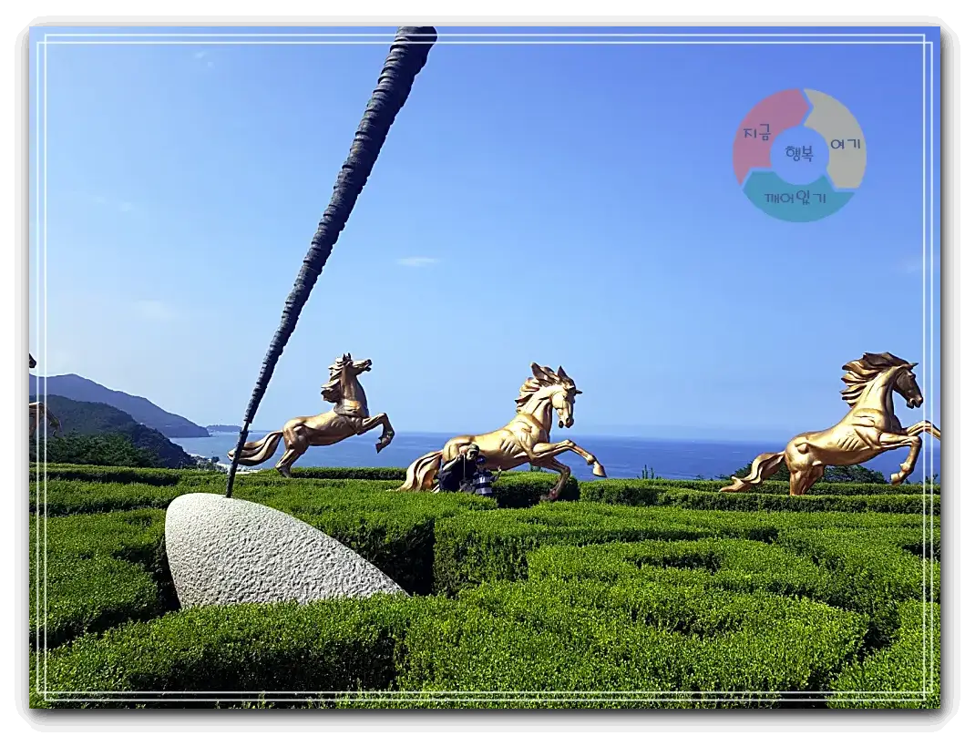 썬크루즈호텔_달리는-말-세마리-미로