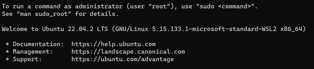 ubuntu 앱 실행했을 때 아래와 같이 설치 버전과 로그 출력을 확인한다.