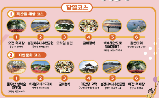 영광군 투어 당일코스