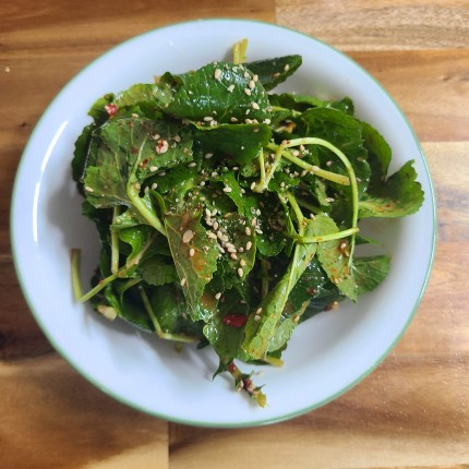 겨울초-겉절이-만들기