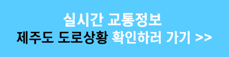 제주도 실시간 교통정보