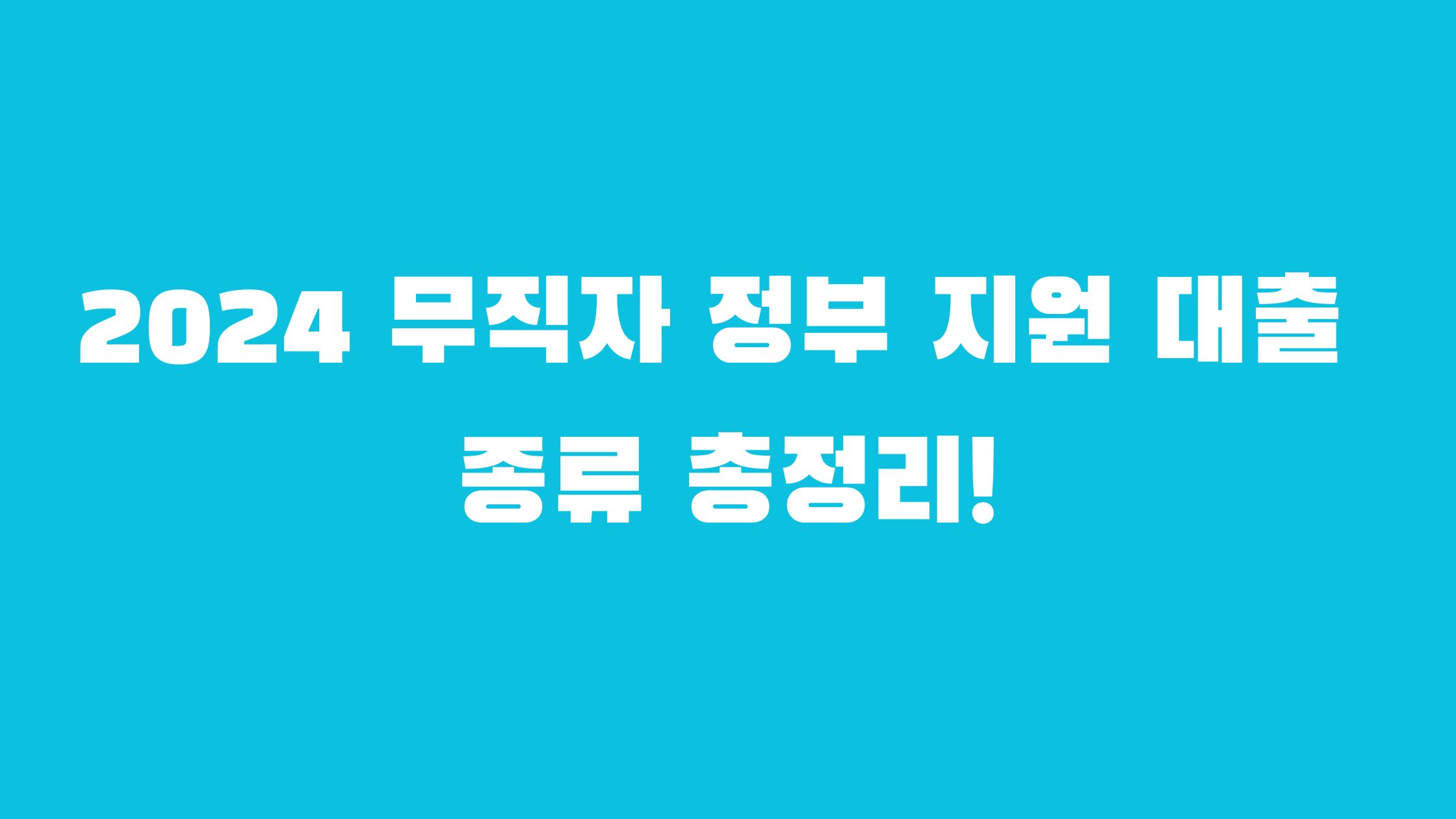 2024 무직자 정부 지원 대출 종류