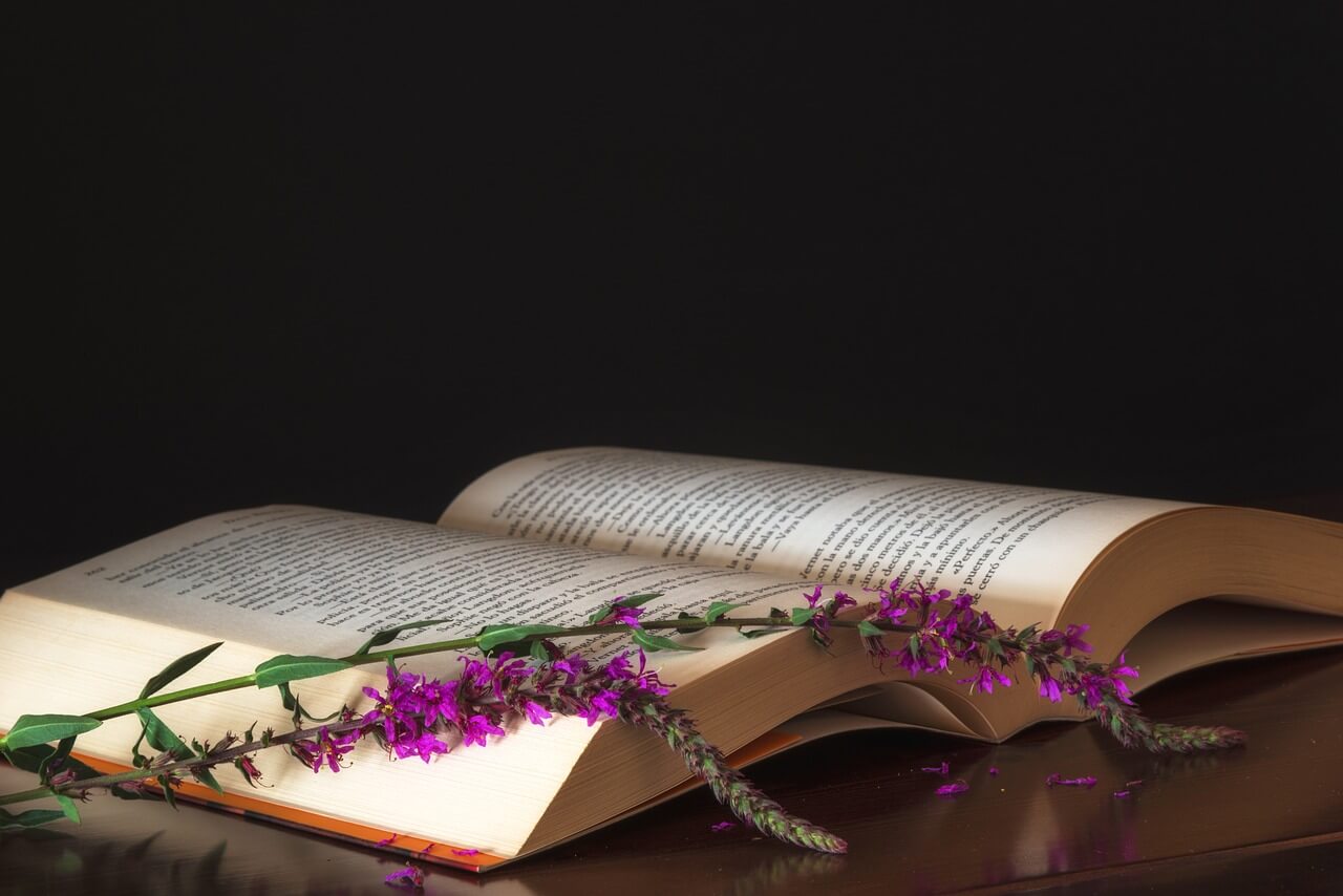 영어 원서를 활용한 읽기 학습 활동