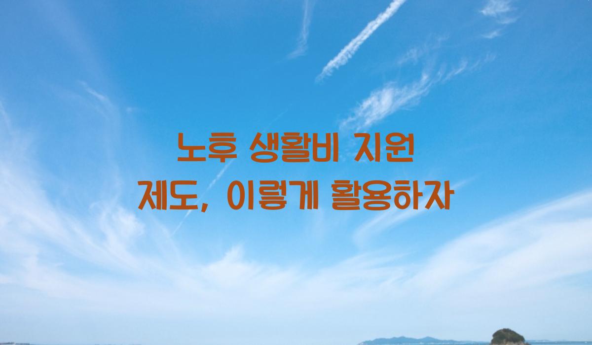 노후 생활비 지원 제도