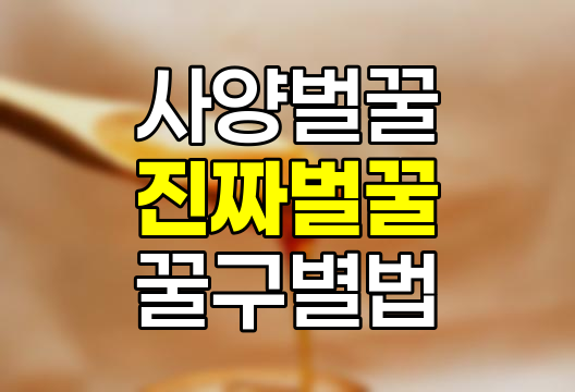 사양벌꿀과 진짜벌꿀의 차이점 및 꿀에 대한 진실 완벽 이해하기