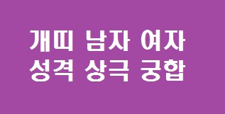개띠 궁합