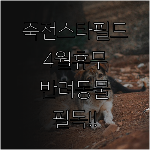 2026년 4월 스타필드마켓 죽전점 ..