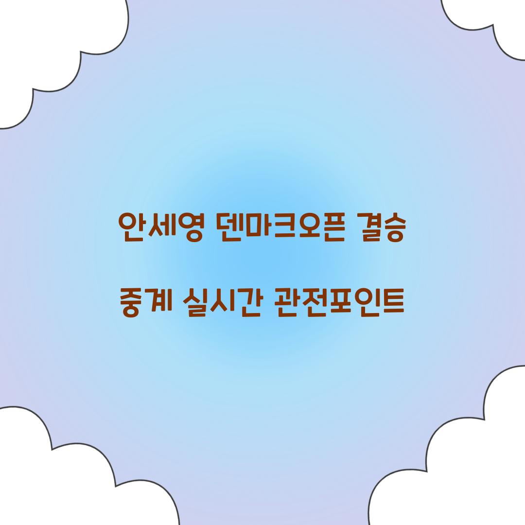 안세영 덴마크오픈 결승 중계