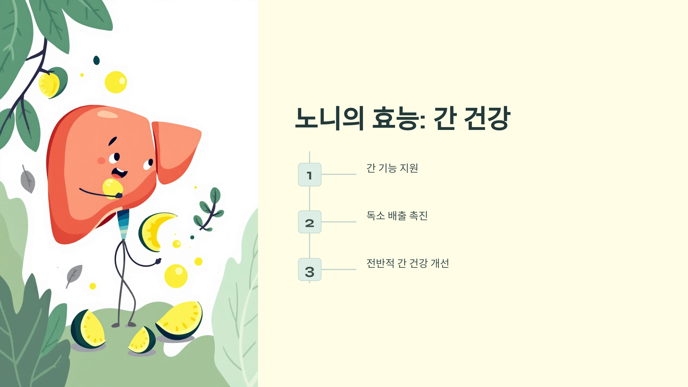 노니 사진입니다.