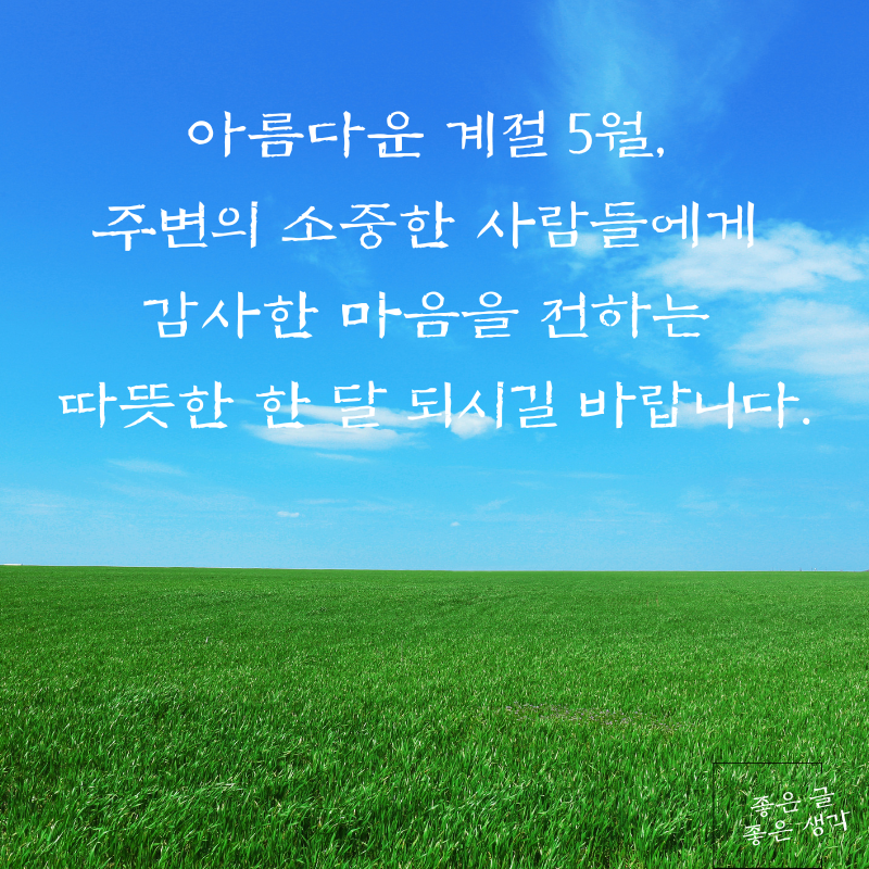 5월 인사말 문구 이미지 모음집 카톡 문자 메세지