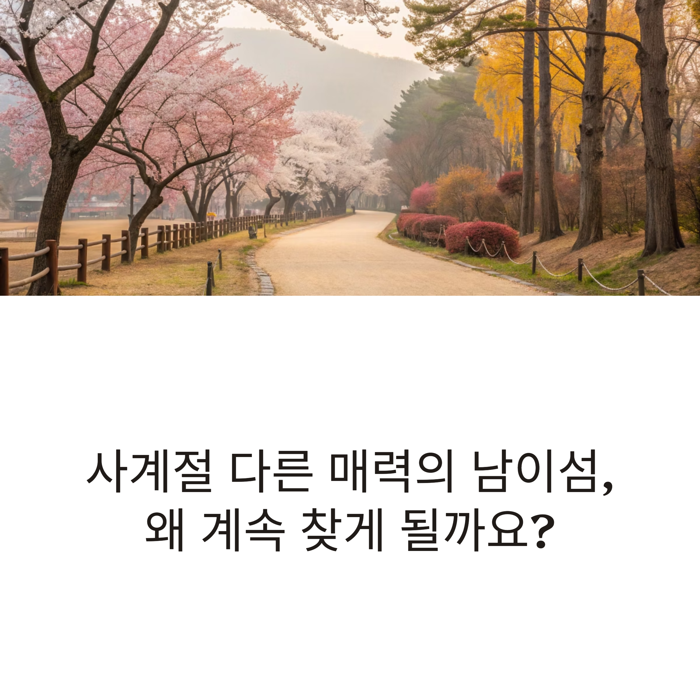 춘천 남이섬 여행