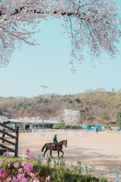 렛츠런파크