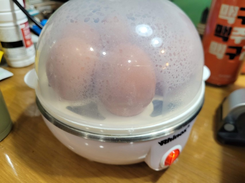 라이녹스 RXYS-ES36 계란찜기 작동 중 모습