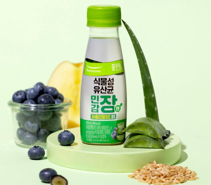 식물성유산균 민감장엔