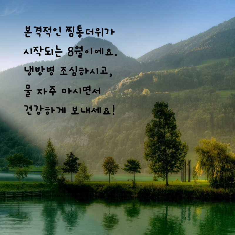 8월 인사말 카톡 문자 메세지 안부 이미지 모음집